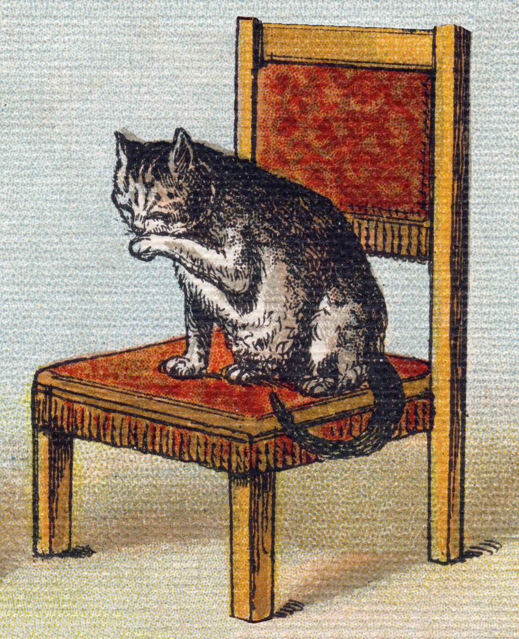 椅子の上の猫。Alphabet de ma petite fille "の中のエングレーヴィング。Bernardin-Bechet and Fils, bookseller-publishers, Paris, around 1895.キャンバスに描かれたアンブレイカブル・アルバム。Bibliotheque des Bebes.12ページ。読書法とイラストのアベセダが入ったアルバム 作： 不明