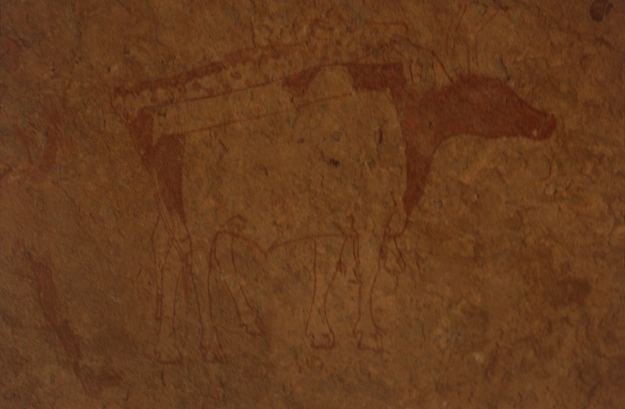 アルジェリア、サハラ砂漠、Tassili-n-Ajjer国立公園、セファール遺跡、雄牛を描いた岩絵。 作： 無名の画家
