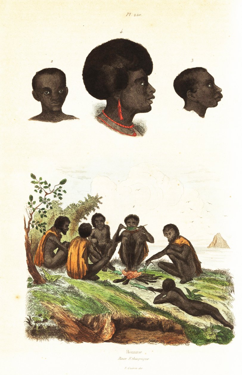 オーストラリアのアボリジニと西パプアのワイゲオの原住民の頭 1834-1839 (彫刻) 作： 無名の画家