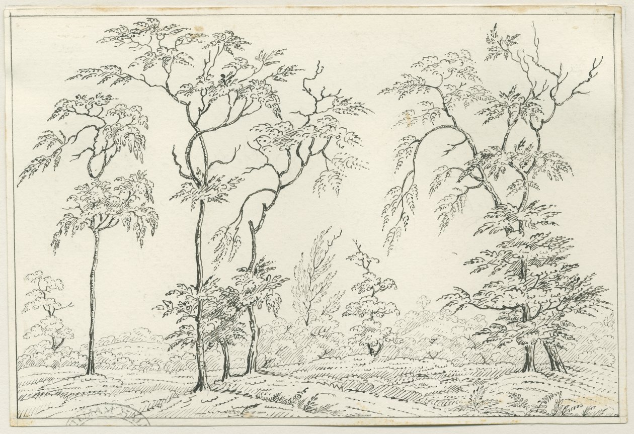 Cannock Chase：ペンと鉛筆の描画、nd [？19セント] 作： 不明