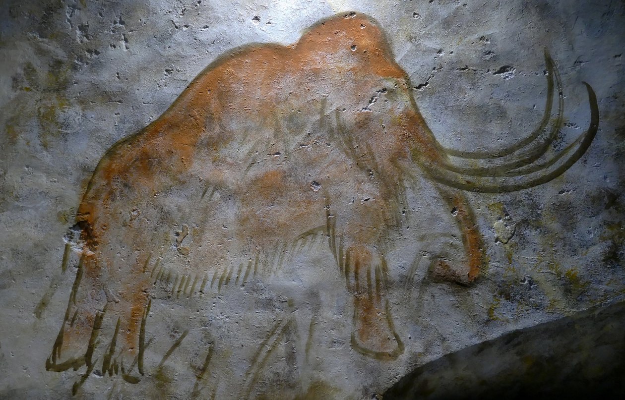 アルタミラ洞窟で発見された洞窟壁画（写真） 作： 無名の画家