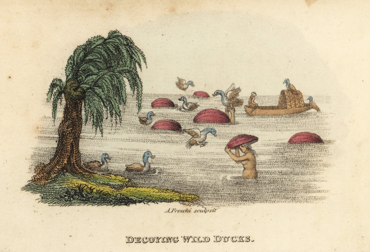 Chinesische Männer jagen Wildenten mit Köderkürbishüten im Fluss, Qing-Dynastie. Handkolorierter Kupferstich von Andrea Freschi nach Antoine Cardon aus Henri-Leonard-Jean-Baptiste Bertin und Jean Baptiste Joseph Bretons China, Its Costumes, Arts von Unbekannter Künstler