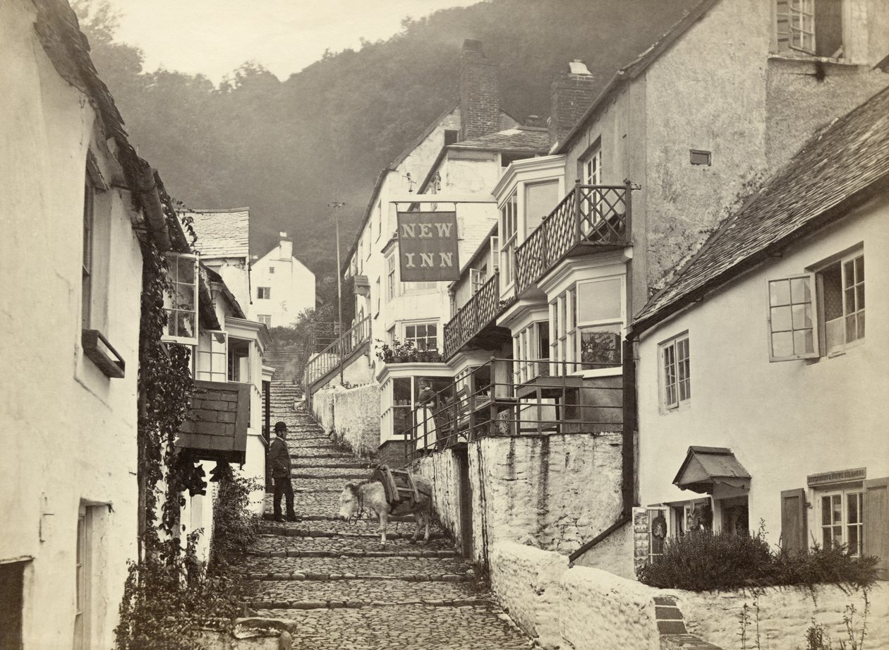 Clovelly、Torridge、Devon、イギリス (白黒写真) 作： 無名の画家