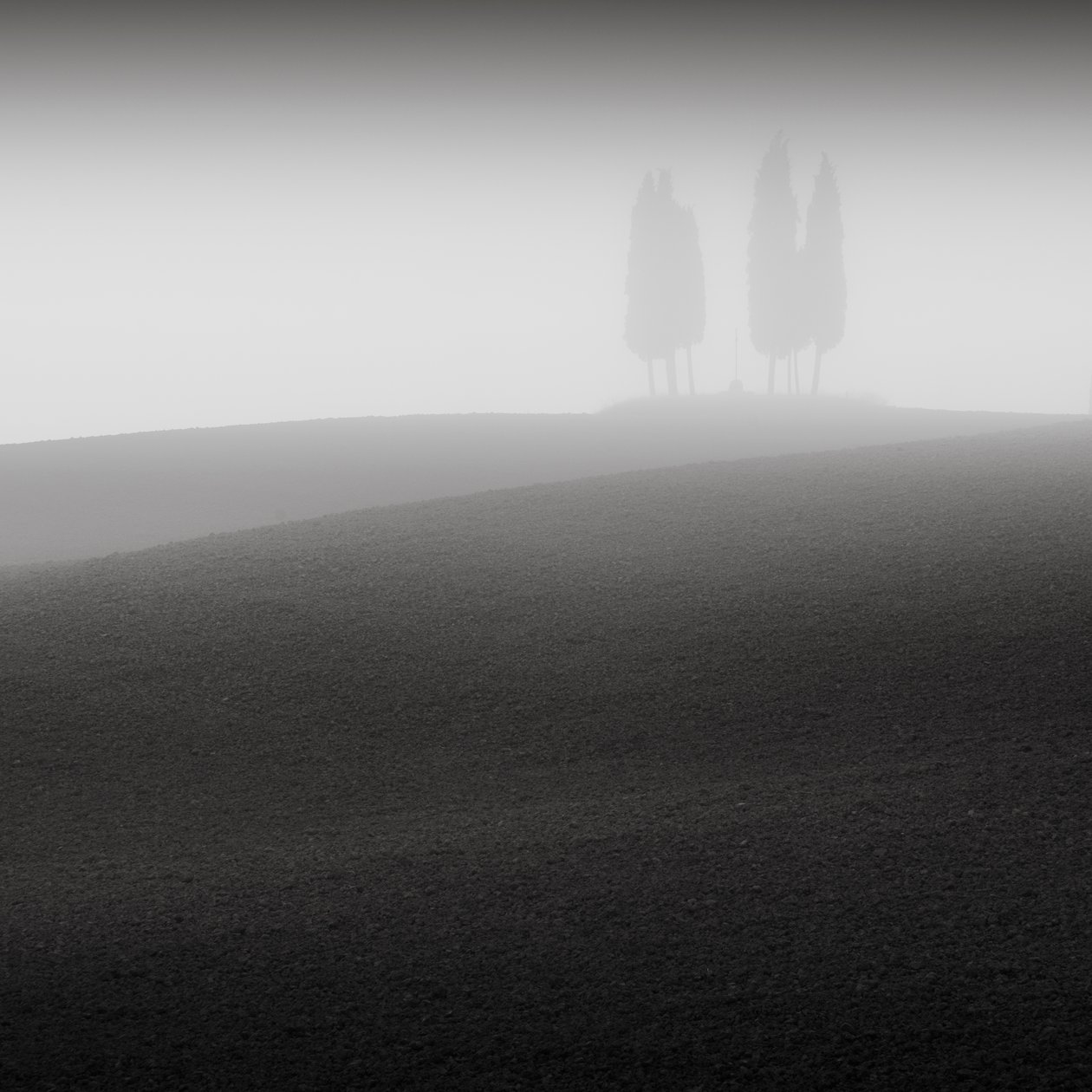 カンファレンス、トスカーナ、イタリア、2015年 (白黒写真) 作： 無名の画家