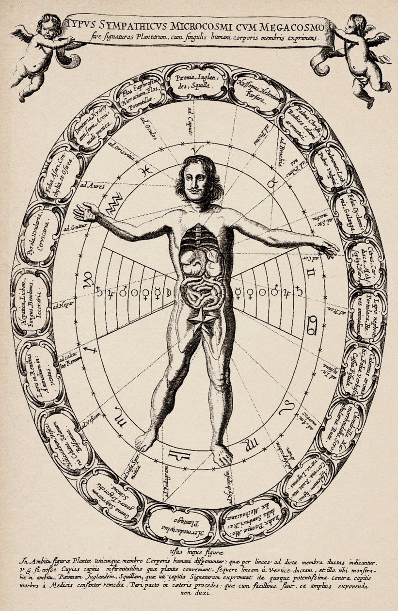 小宇宙と大宇宙の対応。アタナーゼ・キルヒャー（1601-1680）の「Mundus subterraneus」より抜粋。 作： 無名の画家