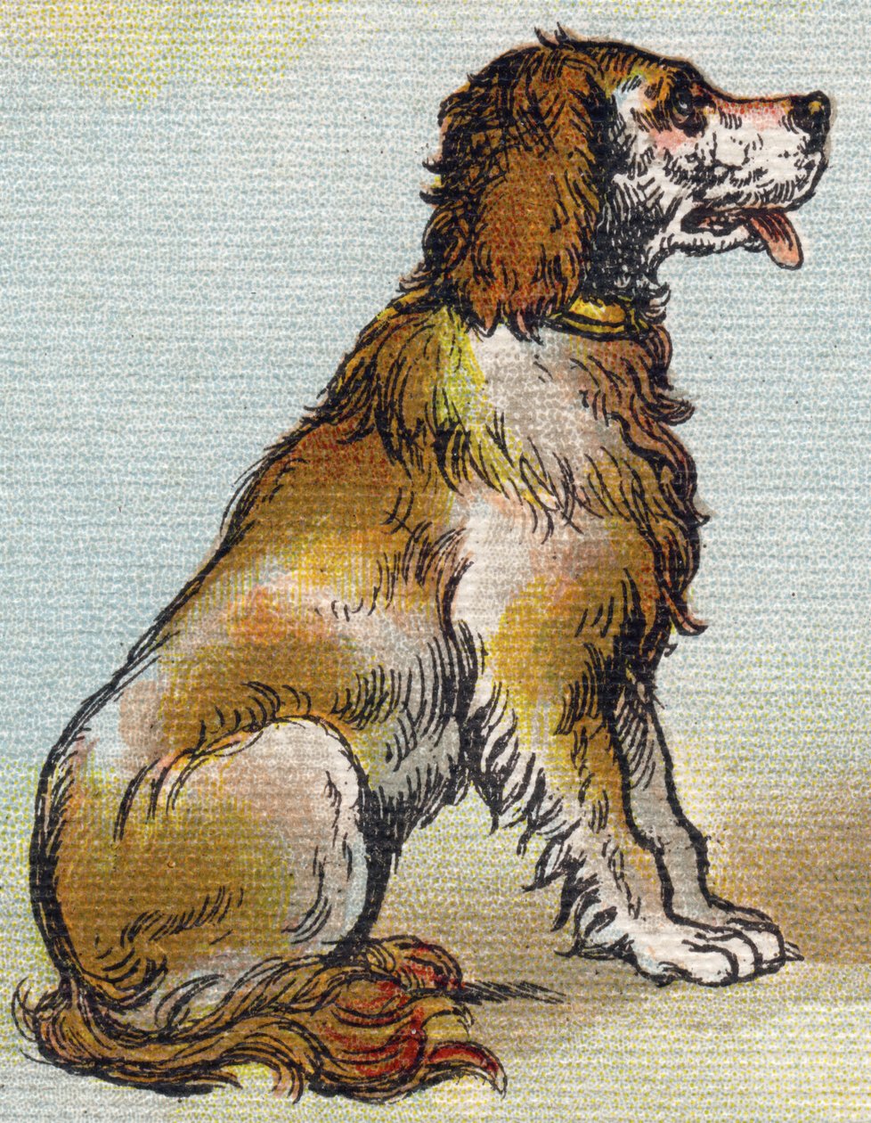 犬。Alphabet de ma petite fille "の中のエングレーヴィング。Bernardin-Bechet and Fils, bookseller-publishers, Paris, around 1895.壊れないアルバムをキャンバスに。Bibliotheque des Bebes（ビブリオテック・デ・ベベ）。12ページ。読書法とイラスト入りのアベコベが入ったアルバム。薄さ：29.5 作： 不明
