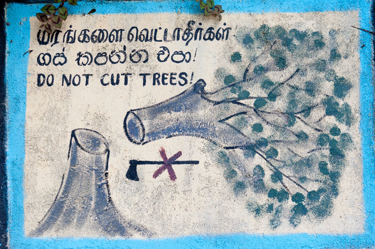 伐採された木と十字の斧を描いた「"Do not cut trees"」のペイントサイン；ヌワラエリヤ；スリランカ；アジア 作： 不明