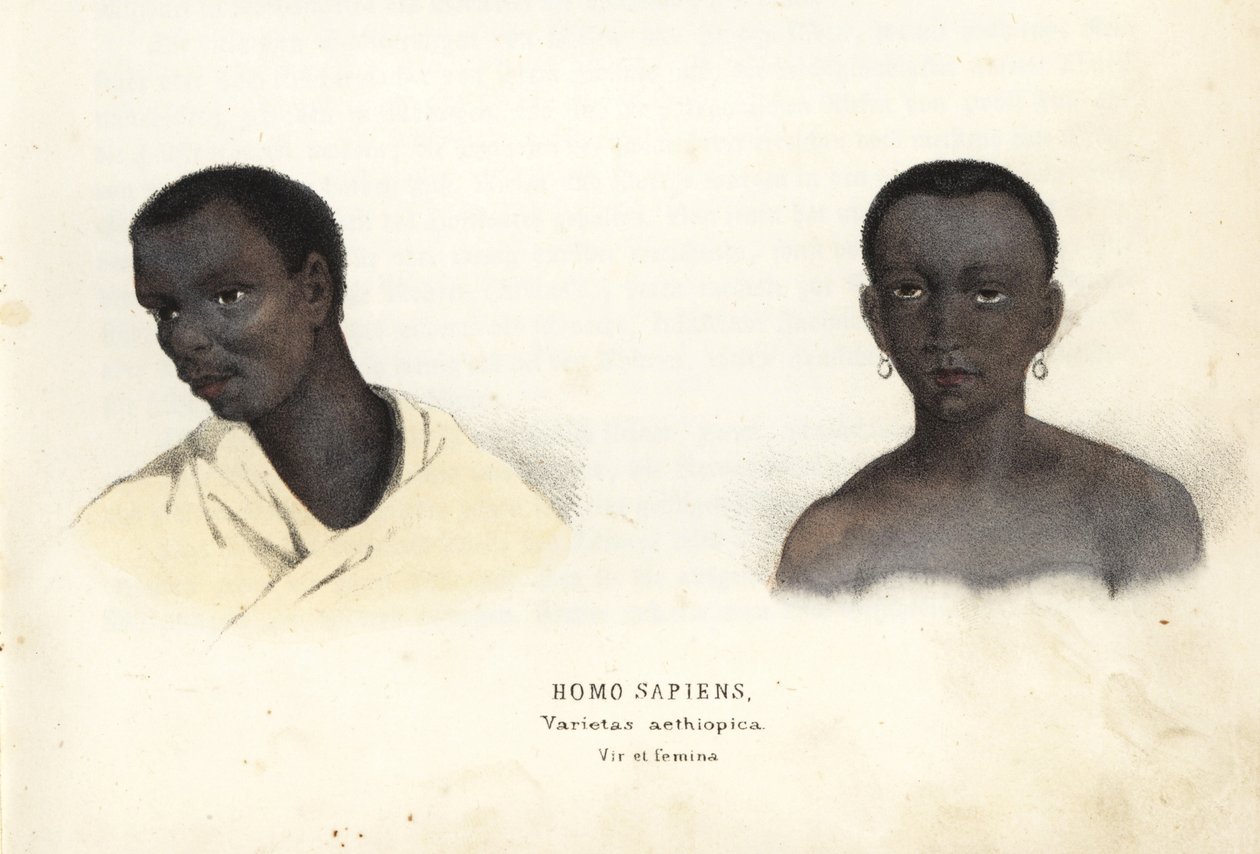 エチオピアの男女。Georg Friedrich Treitschkeの自然史ギャラリー、Naturhistorischer Bildersaal des Thierreiches、Liepzig-1842所蔵の手彩色スチール・エングレーヴィング。 作： 無名の画家