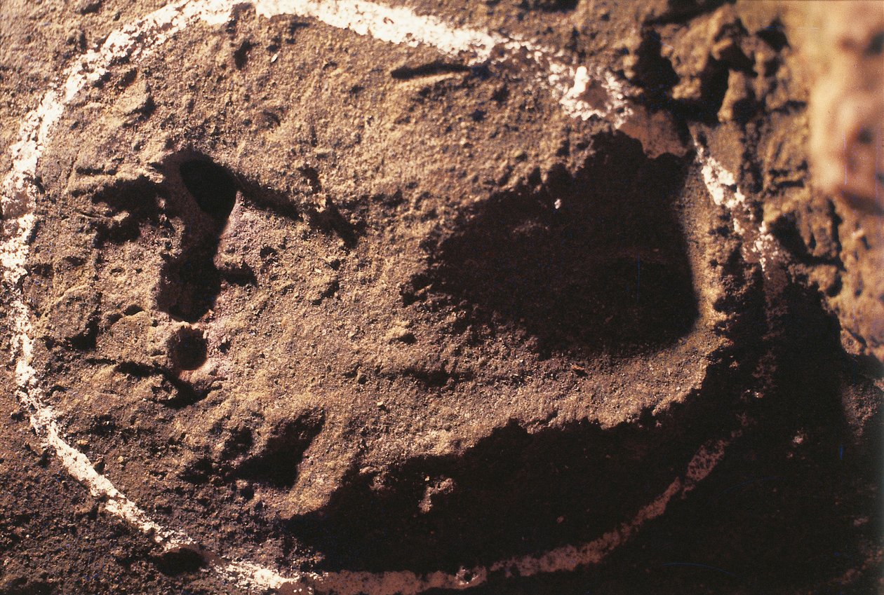 イタリア、リグーリア州、トイラーノの石窟、先史時代の狩人の足跡 作： 無名の画家
