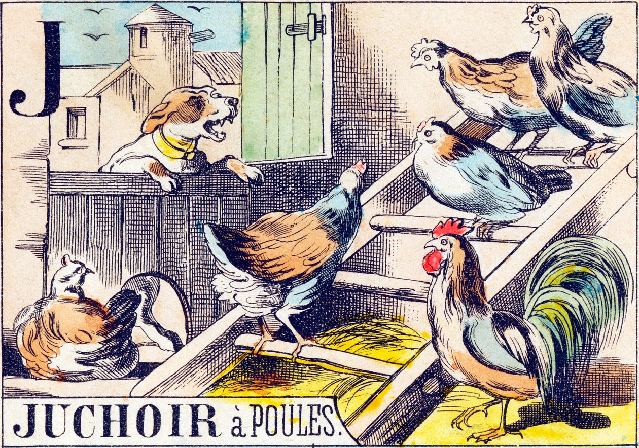 J Juchoir a poules - "Alphabet of the farm" 19世紀末 (エングレーヴィング) 作： 不明