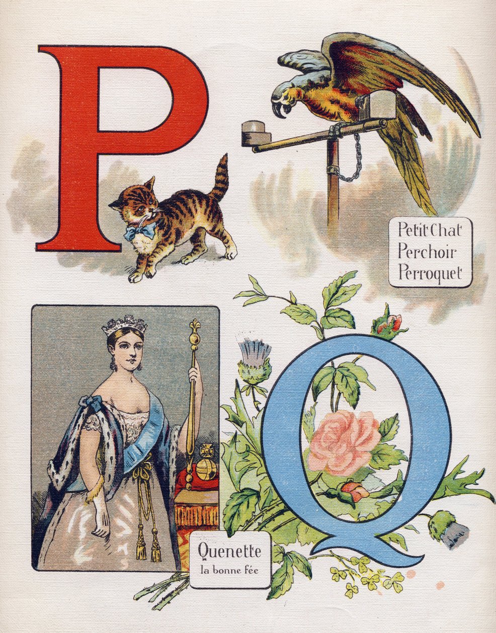 Letter P and Q: little cat, perch, parrot and quenet, the right fee.ABC L