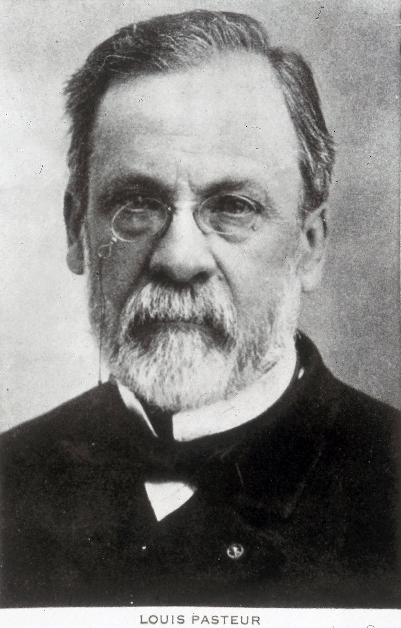 ルイ・パスツール、フランスの化学者、微生物学者、1885年頃 作： 無名の画家
