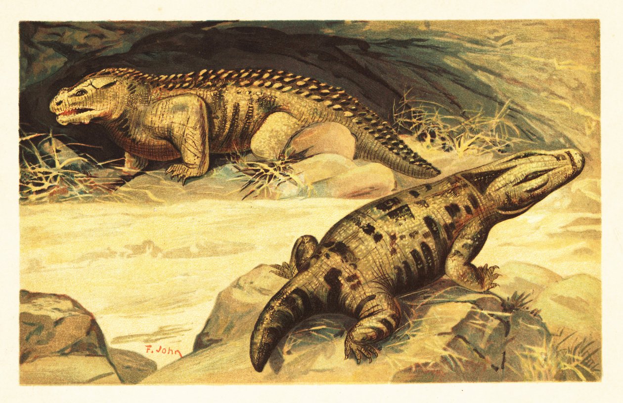 マストドンサウルスとパレイアサウルス.1908年（リトグラフ） 作： 無名の画家