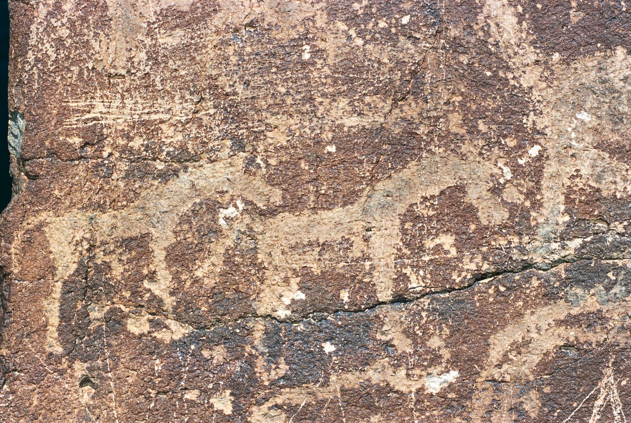 モンゴル、ゴビ砂漠、岩絵具 作： 無名の画家