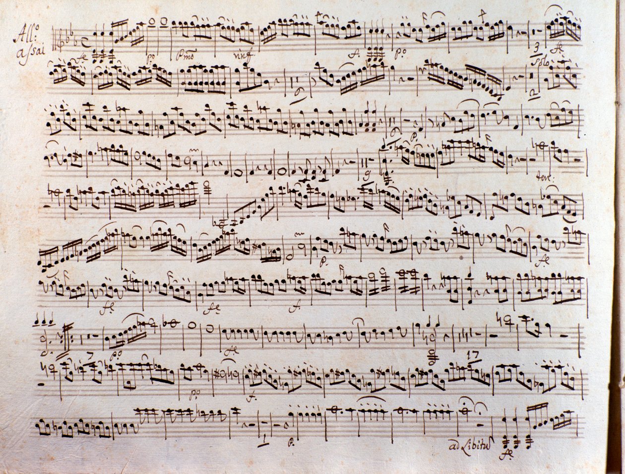 プレイエルの協奏交響曲の楽譜のページ 作： 無名の画家