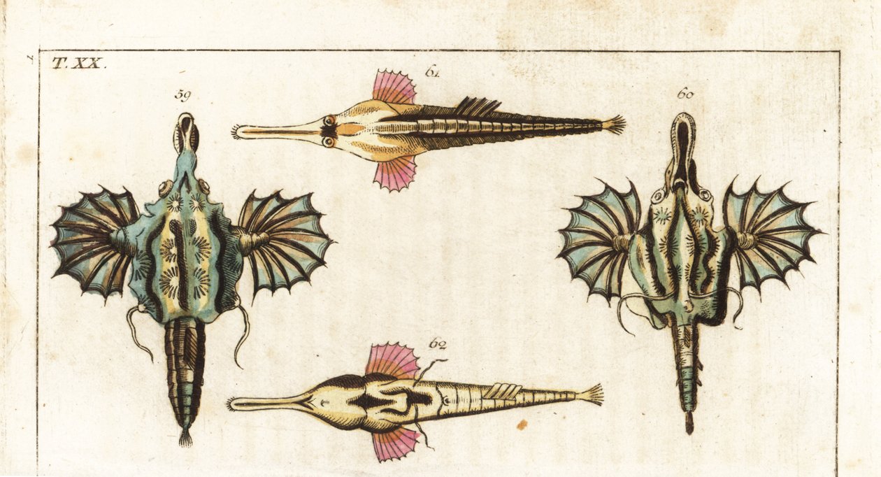 ペガサス絵画 ペガサス2 A4 絵画 ヒロシ・ド・クレヨン 通販 1761660｜Creema(クリーマ)