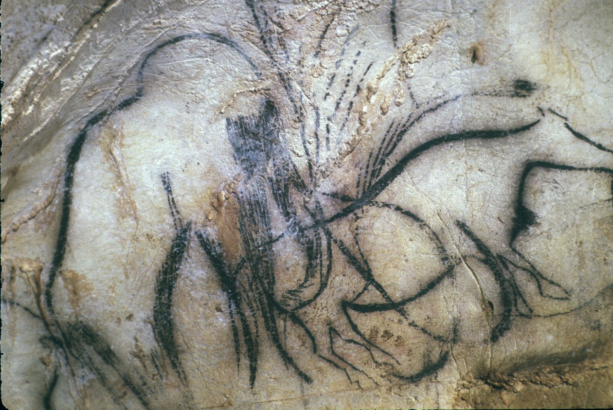 ペッシュ・メルルの先史時代の洞窟／マンモスの洞窟／25,000年／カブレレッツ／ロット／ミディ・ピレネー／フランス 作： 不明