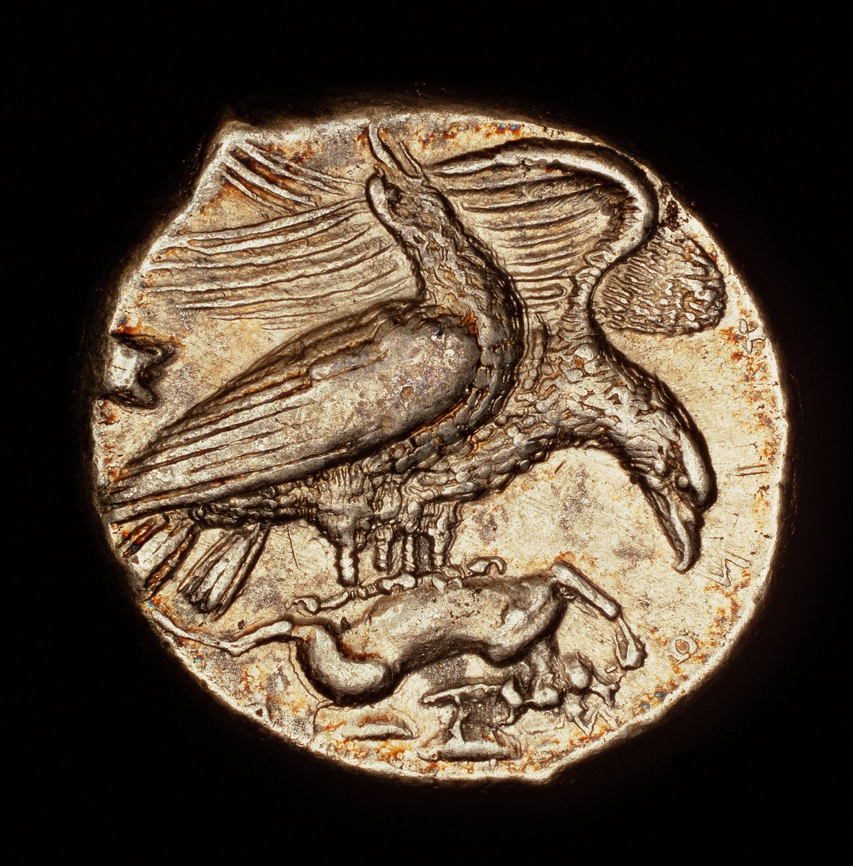 希少な古代ギリシャのコイン、ドラクマ銀貨、アグリゲンタム、ウサギを連れたワシ、紀元前410年頃（写真） 作： 無名の画家