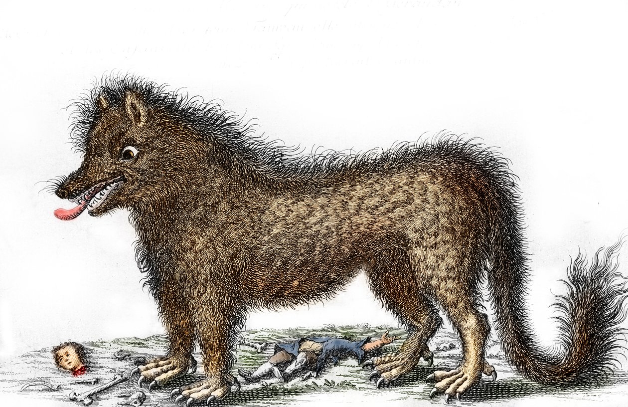 足の周りに犠牲者の骨が散らばるゲヴォーダンの獣の表現 1764年頃のエングレーヴィング（1764年の表現におけるゲヴォーダンの獣） 個人蔵 作： 無名の画家