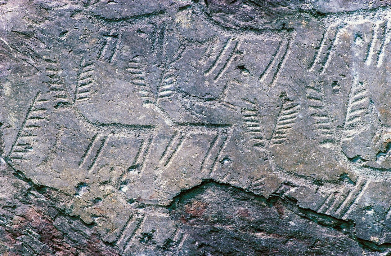 ヴァル・カモニカのマッシ・ディ・チェンモ国立考古学公園の岩石彫刻（ユネスコ世界遺産登録 作： 無名の画家