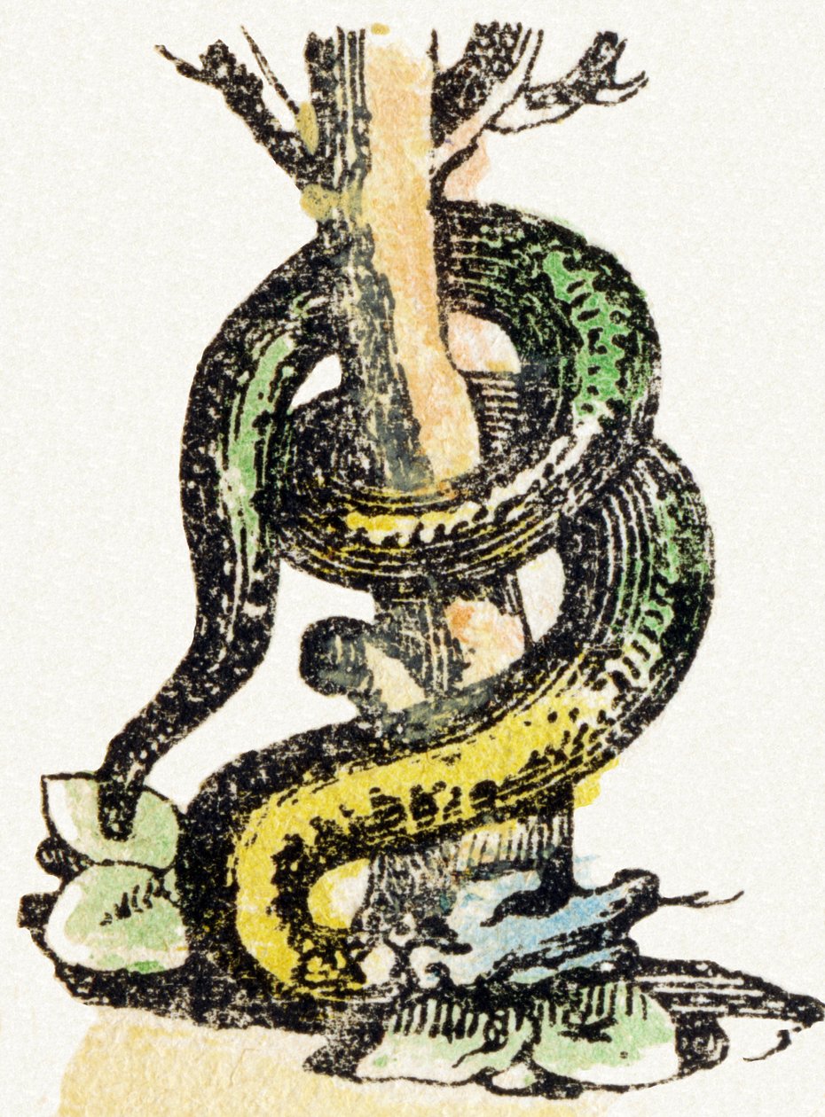 S-蛇-チャイルドエンターテインメントアルファベットc.1890（リトグラフ） 作： 不明