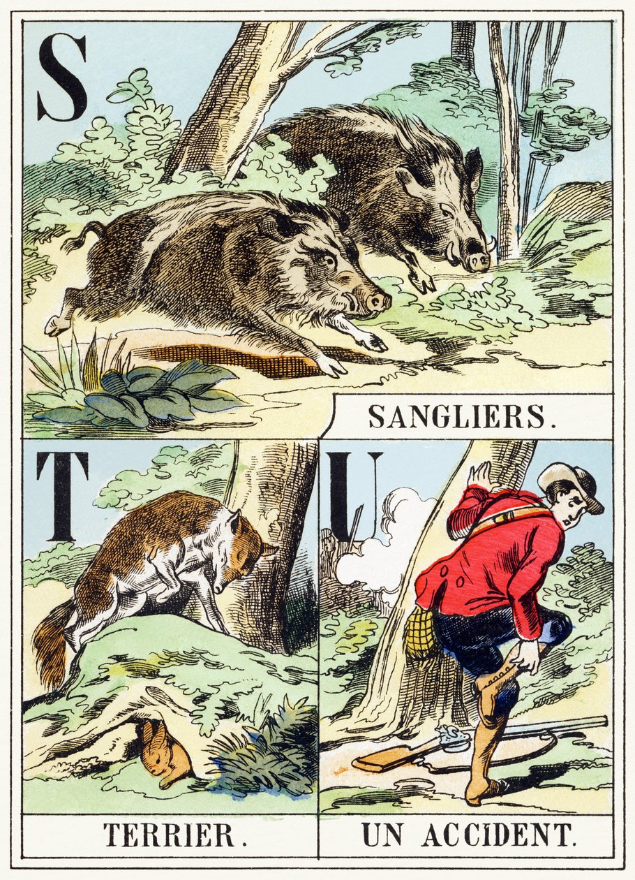 S T U : Sanglier, Terrier, Un accident - The Hunting Alphabet, c.1890 (carving) 作： 不明