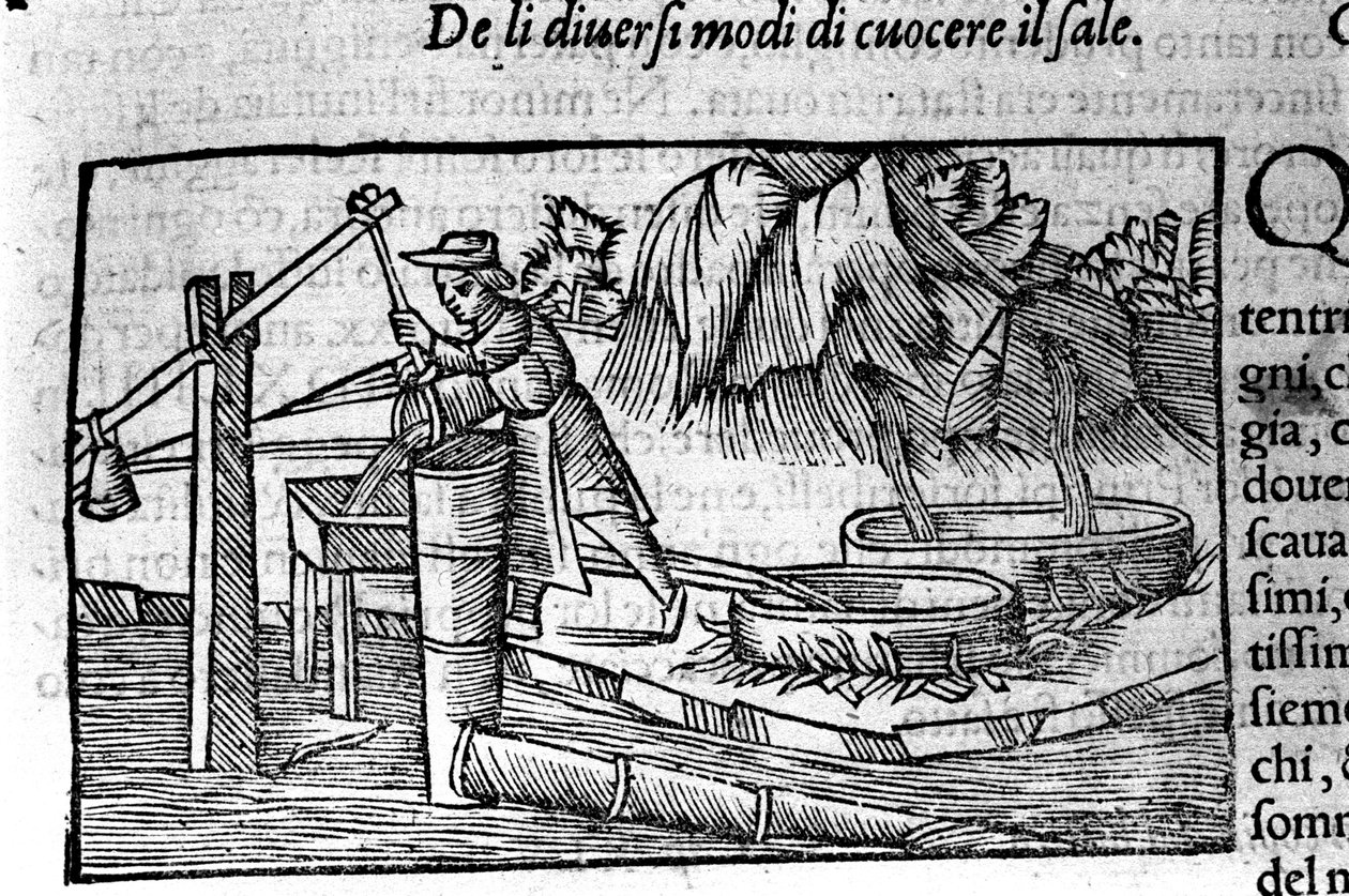 塩の生産：調理スウェーデンの宗教家・地理学者であるオラウス・マグヌス（1490～1557）の版画「Historia de Gentis Septentrionalibus」（ヴェネツィア）。 作： 不明