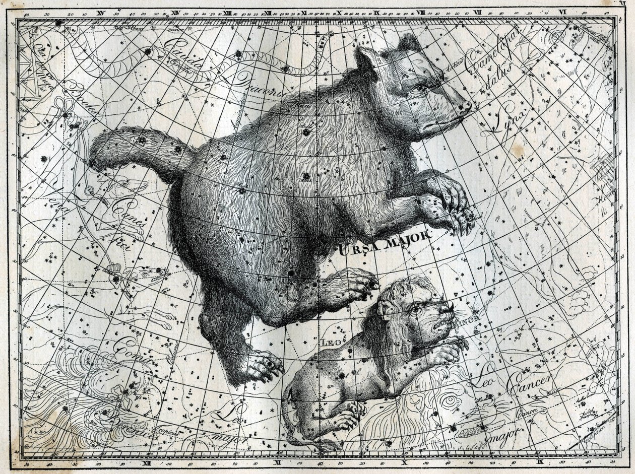北極圏の星座：大熊と小獅子。カミーユ・フラマリオン著「Les étoiles et les autres curiosites du ciel」からの抜粋 作： 不明