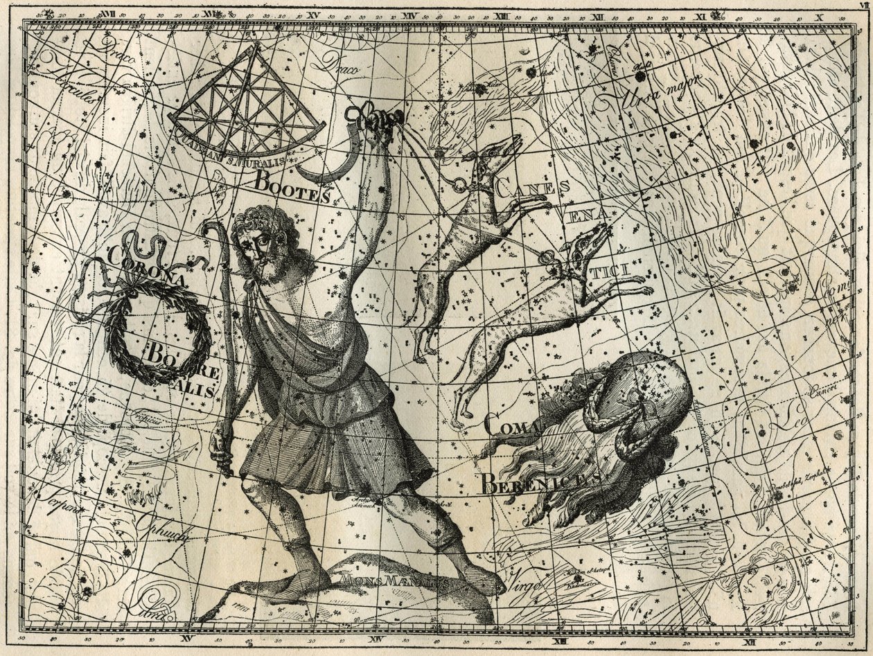 バウワー、ボレアル・クラウン、狩猟犬、ベレニスの髪の毛。カミーユ・フラマリオンの「Les étoiles et les autres curiosites du ciel」からのエングレーヴィング。 作： 不明