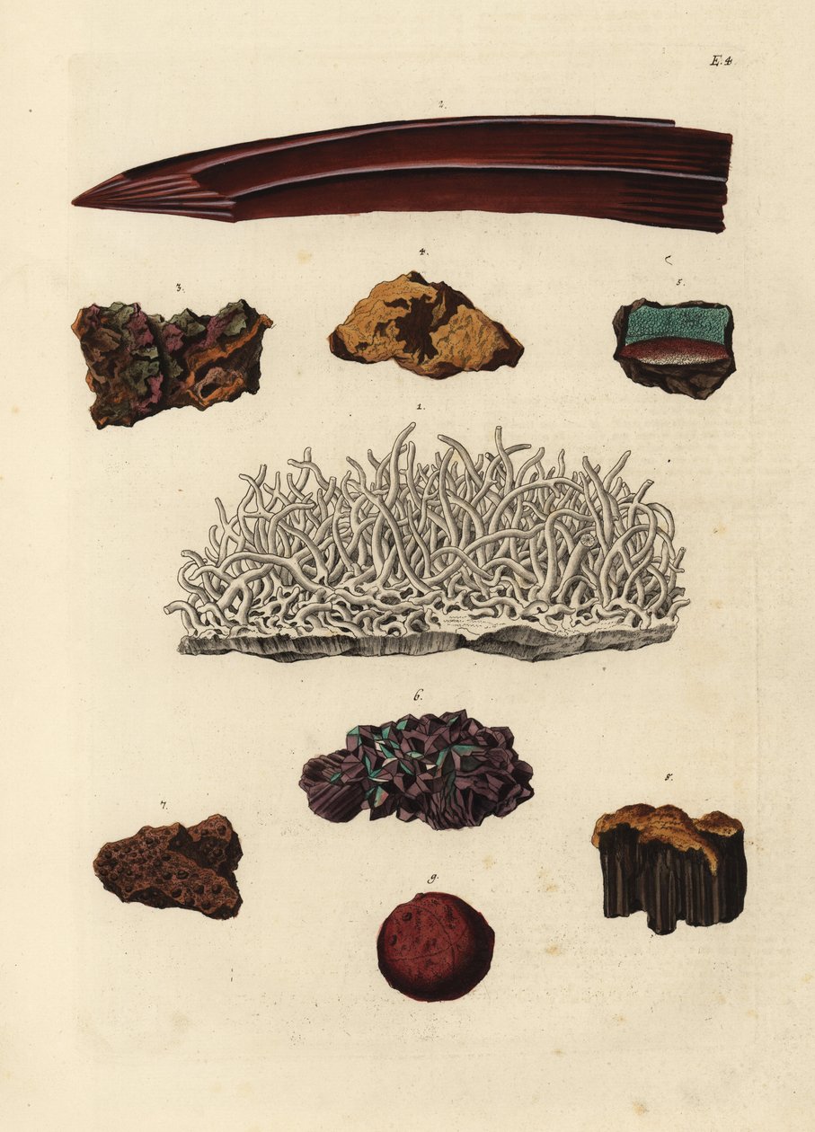 鉄鉱石の品種。ゲオルク・ヴォルフガング・クノール著『Deliciae Naturae Selectae of Kabinet van Zeldzaamheden der Natuur』（Blusse and Son, Nuremberg）の図版をもとにした手彩色銅版画。 作： 無名の画家