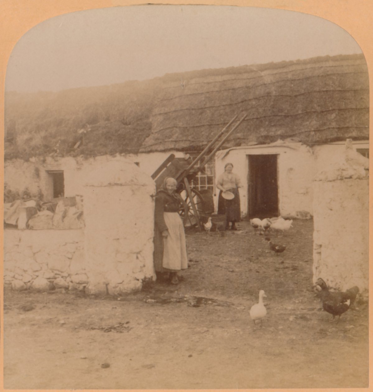 特徴的な家、Ballintoy Village、アントリム州、アイルランド、1900年。 作： アンダーウッドとアンダーウッド