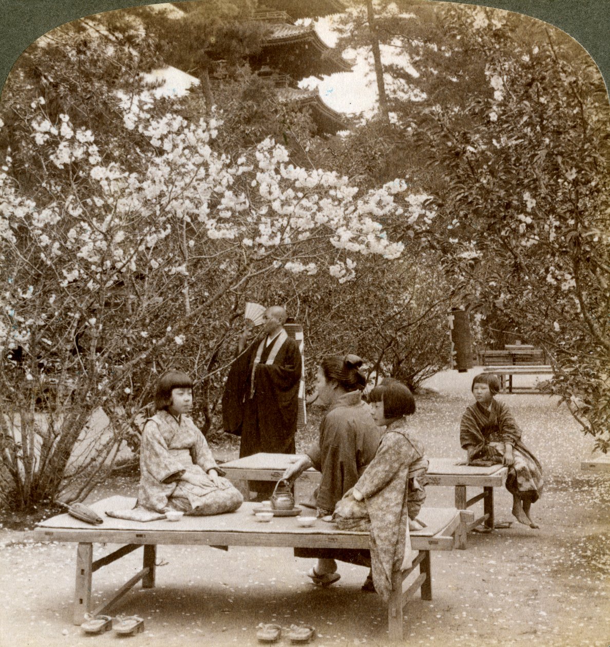 桜の下でピクニックを楽しむ家族、大室御所、京都、1904。 作： アンダーウッドとアンダーウッド