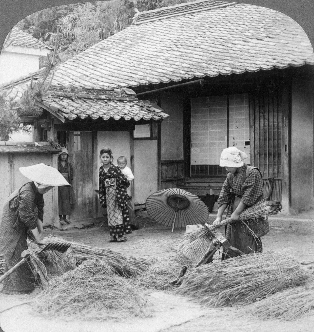 1904年、岩国で働く農家の妻たち。 作： アンダーウッドとアンダーウッド