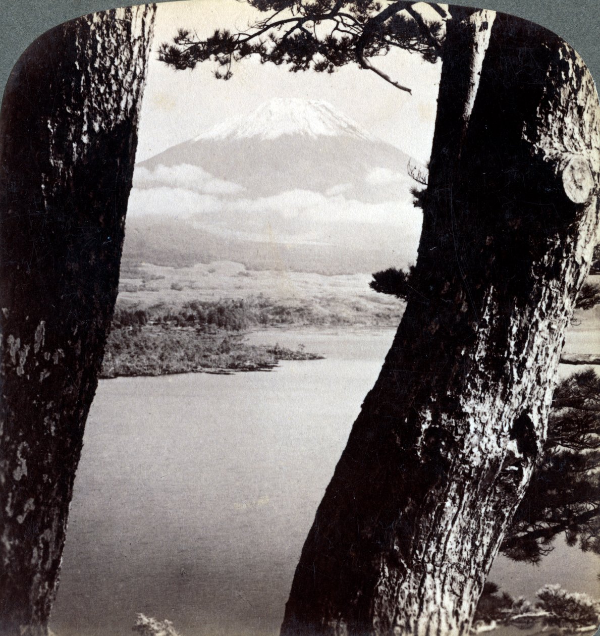 1904年、本栖湖の松を北西から見た富士山 作： アンダーウッドとアンダーウッド