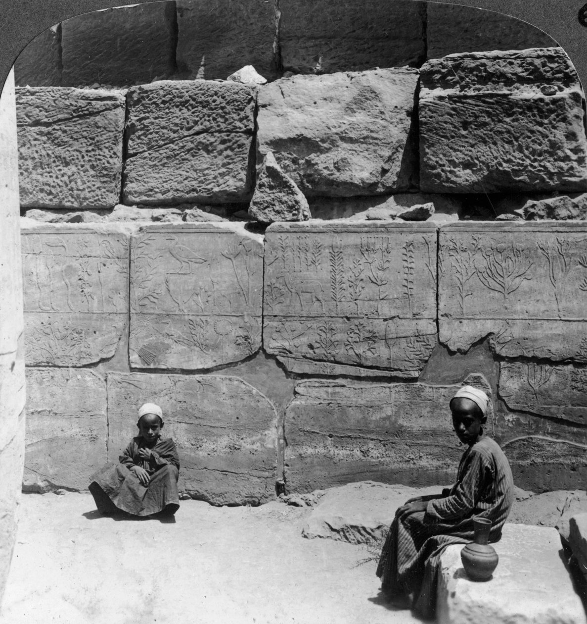 1905年、エジプトのカルナック神殿であるファラオによってシリアから持ち込まれた動植物。 作： アンダーウッドとアンダーウッド