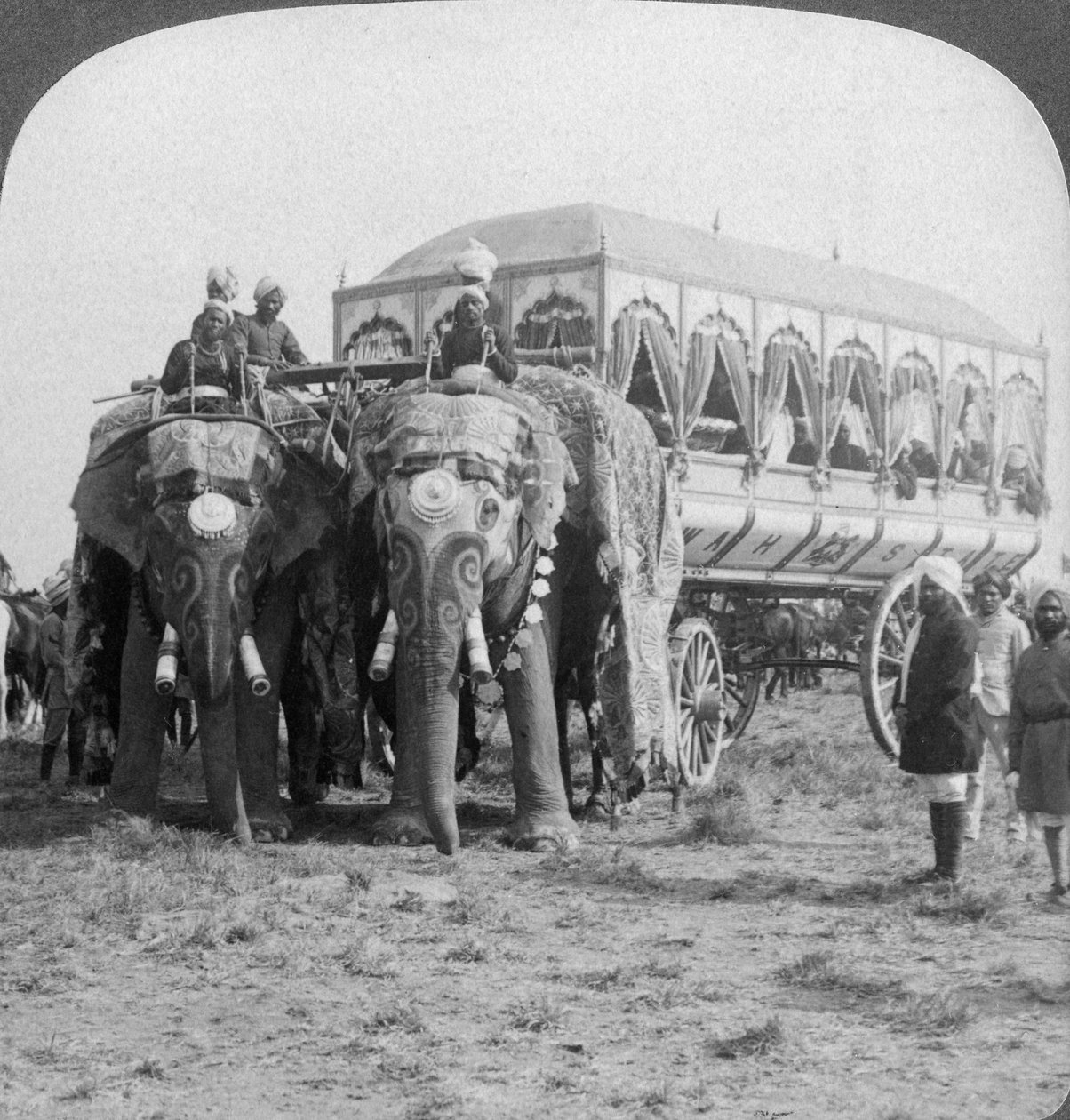 1903年、インドのデリーダルバールにある象と豪華な象の乗馬、レワのマハラジャの運送 作： アンダーウッドとアンダーウッド