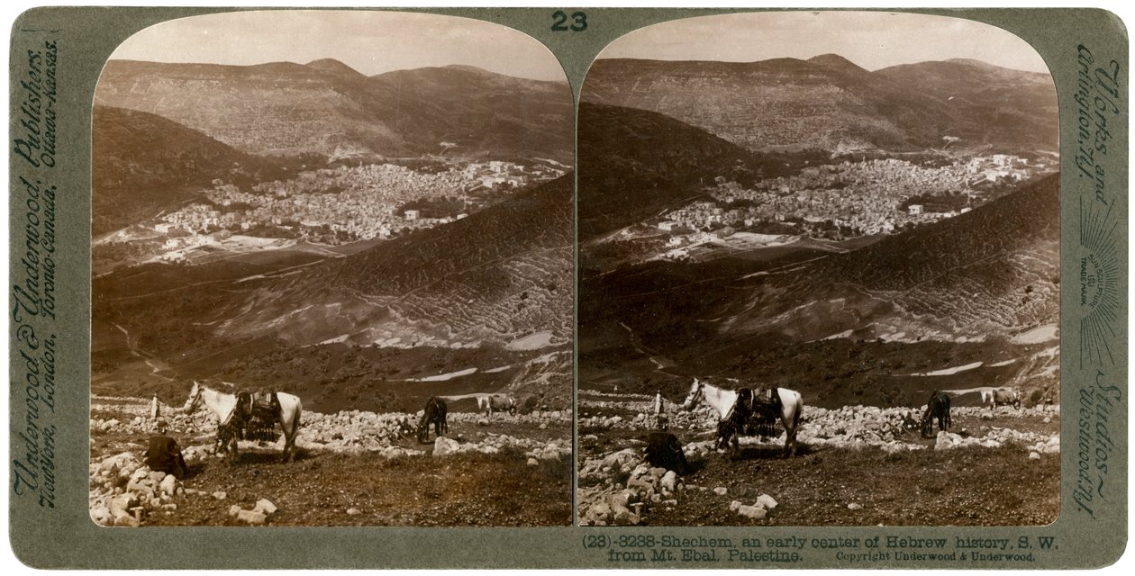 1900年代にパレスチナのエバル山の南西にあるシェケム。 作： アンダーウッドとアンダーウッド