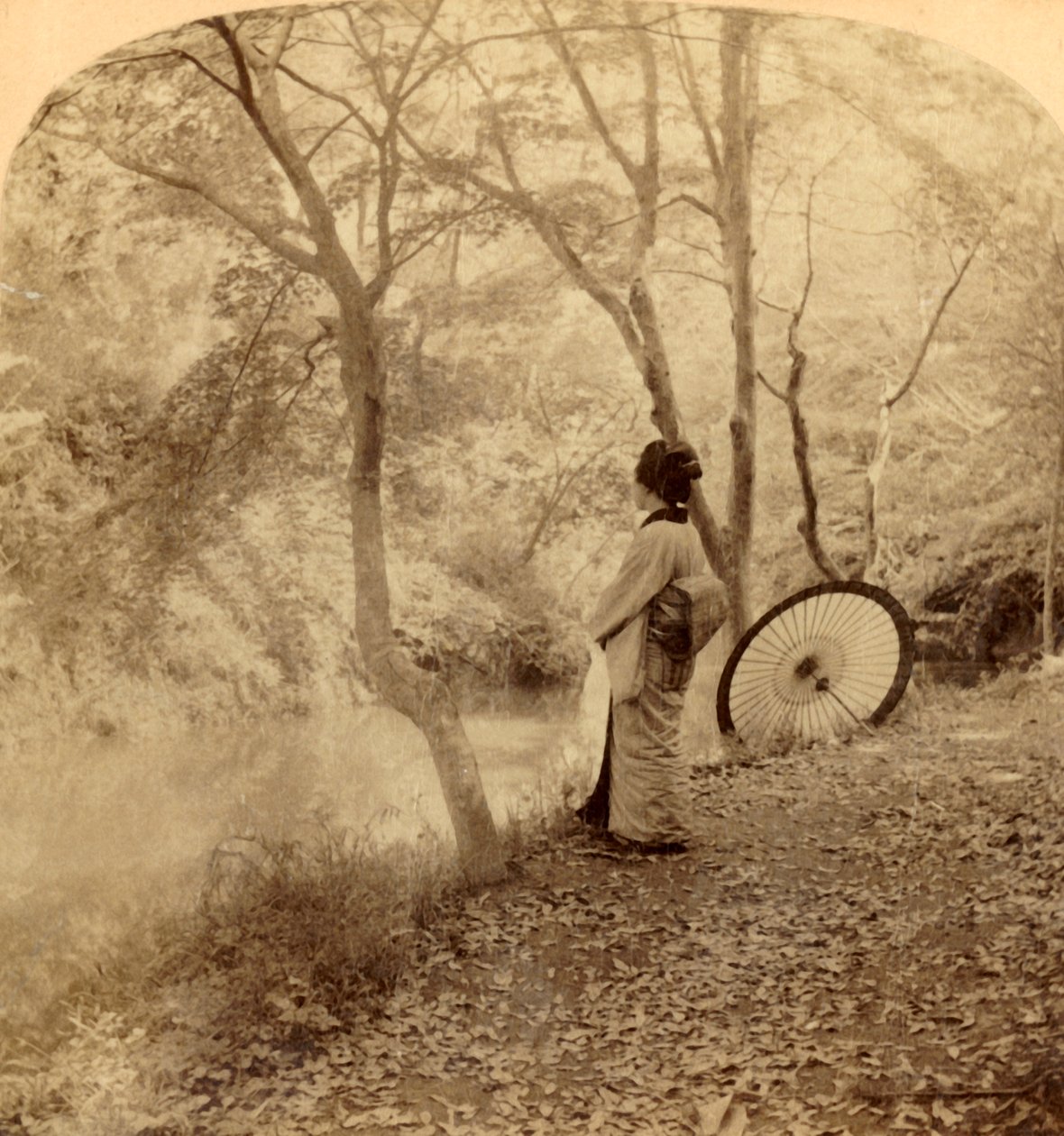 日本の秋のゴールデンデイズ、1896年。 作： アンダーウッドとアンダーウッド