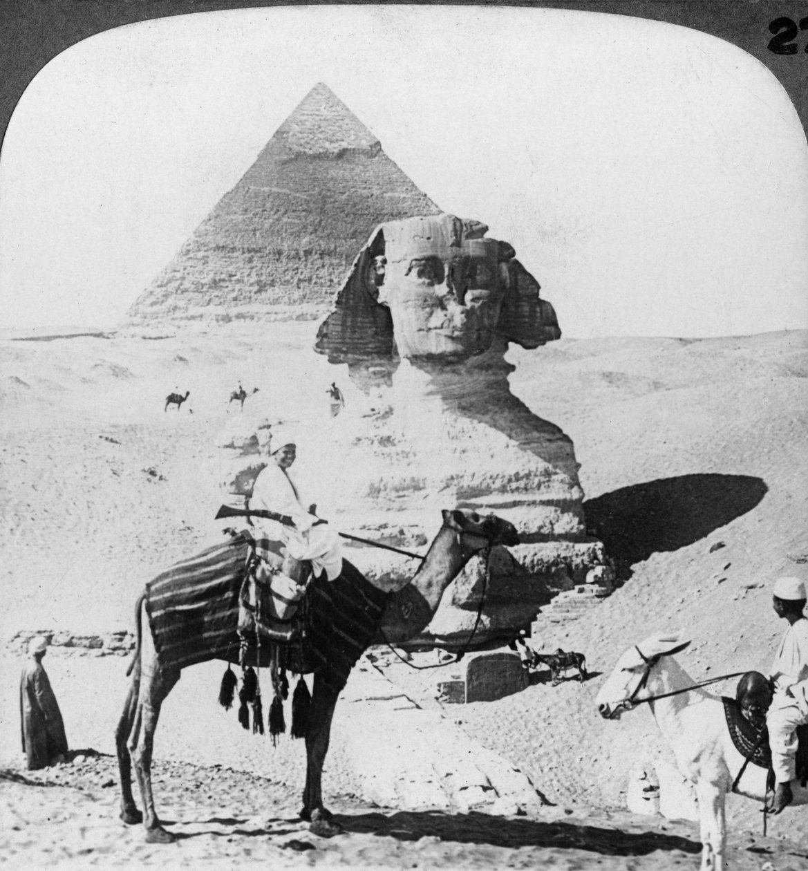 ギザの大スフィンクス、エジプト、1905年。 作： アンダーウッドとアンダーウッド
