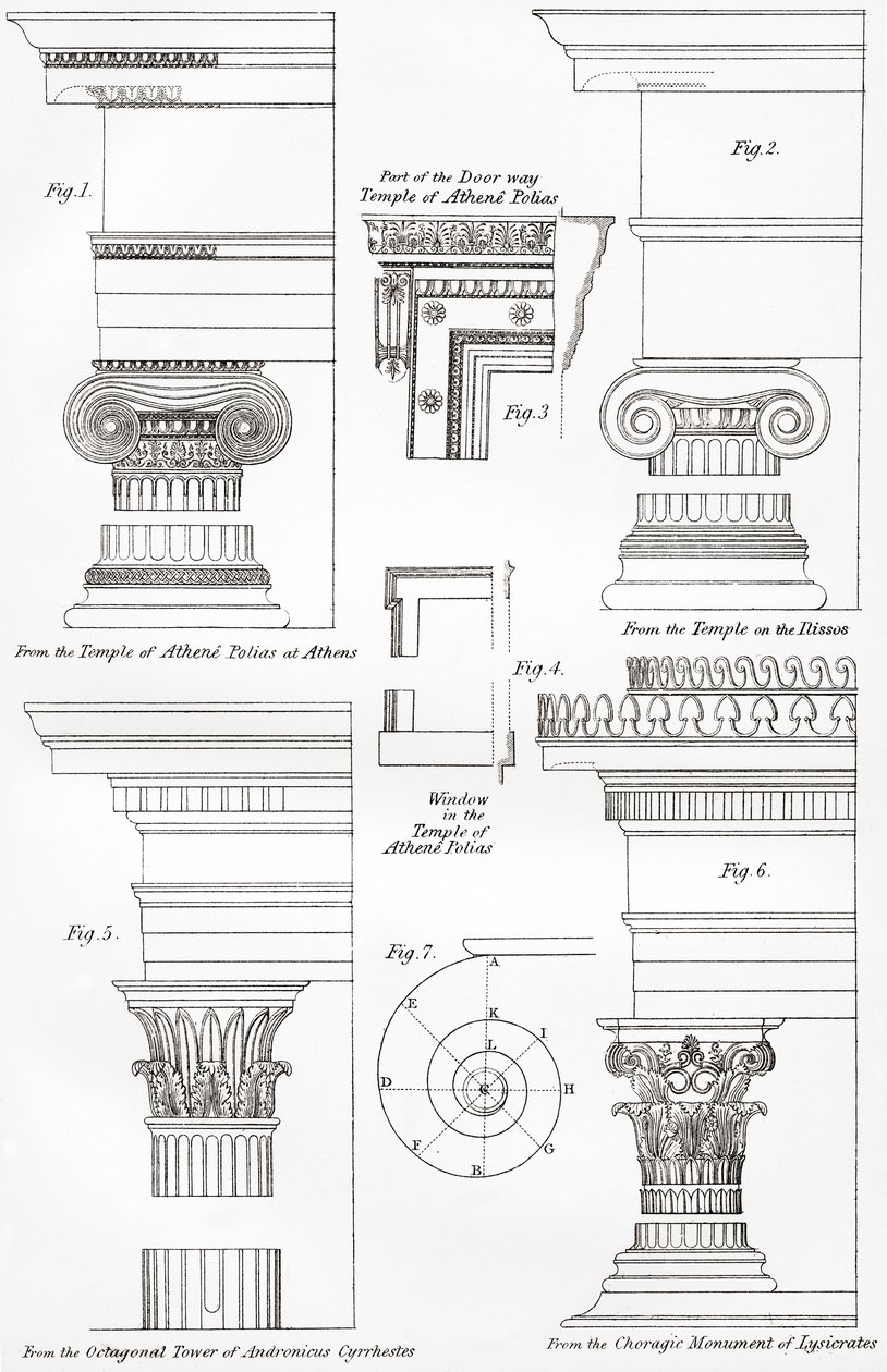 1890年に発行された国立百科事典からのギリシャ建築におけるイオニア式およびコリント式の注文の例 作： 不明不明