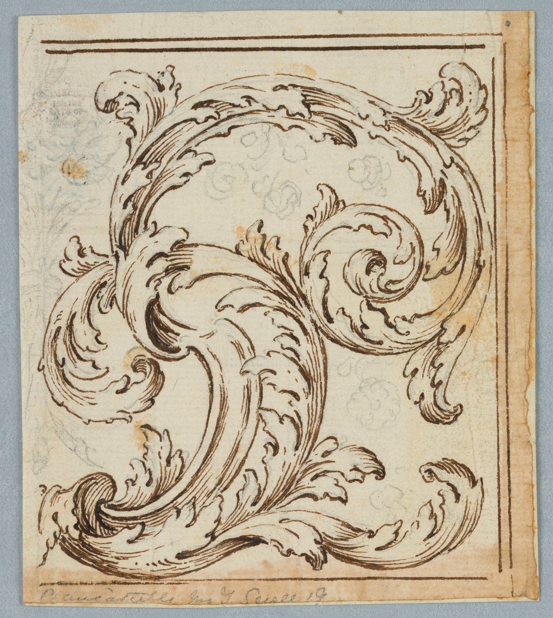 ドローイング、Rinceau Design、1725–1750 作： 不明
