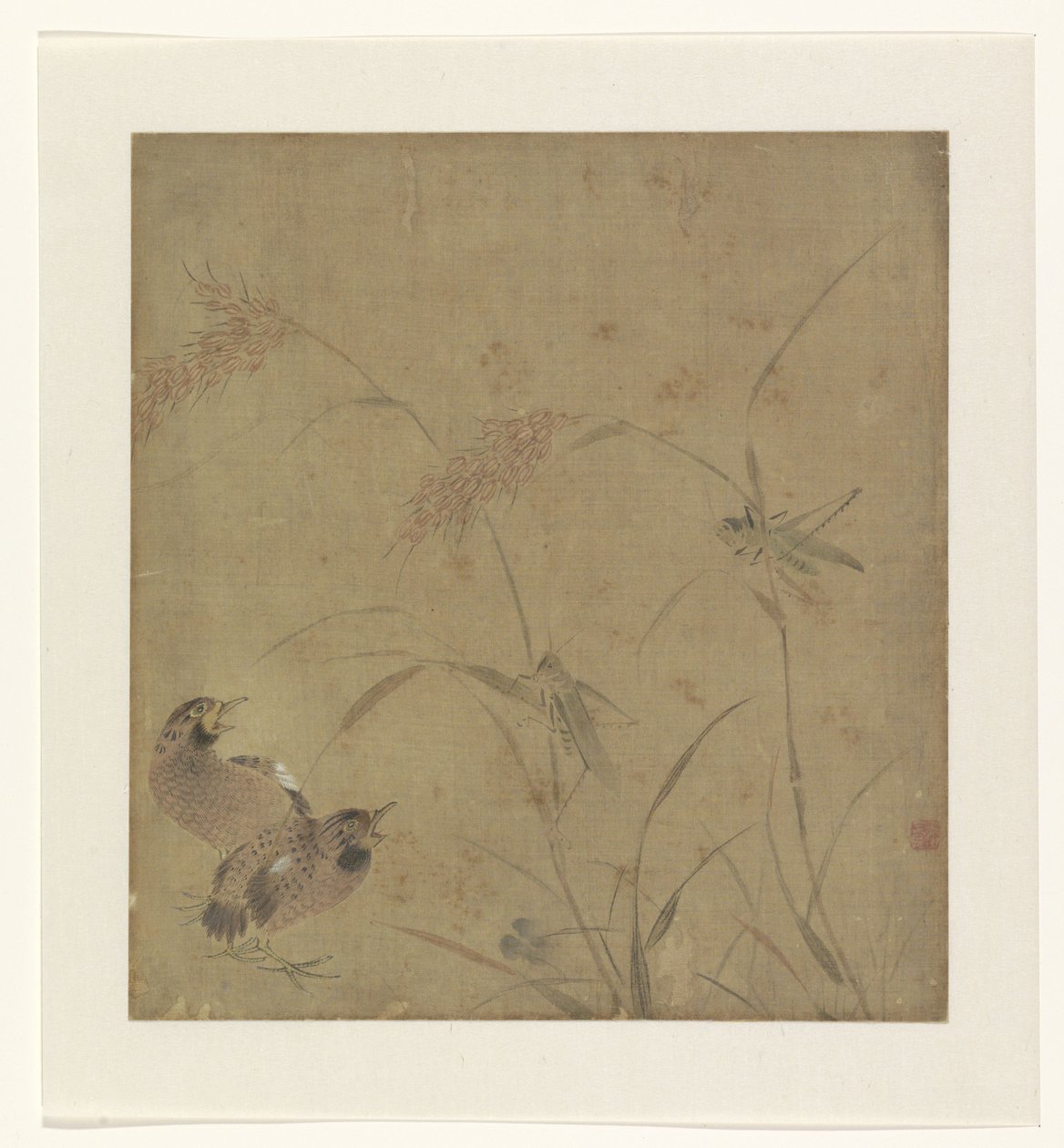 イナゴとキビの茎を持つウズラの表現のアルバム ページ 作： 不明