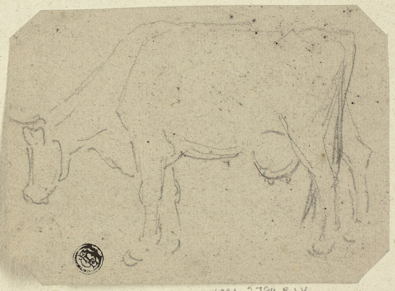 牛の放牧 (直腸); 動物の頭 (裏面) 作： 不明