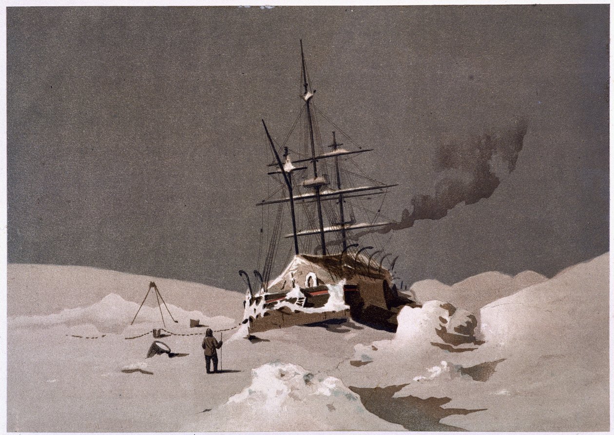 英語版・絵本　パグワッシュ船長と埋もれた宝 Amazon.co.jp: Allie the Gator and Her Treat わにわにのごちそう