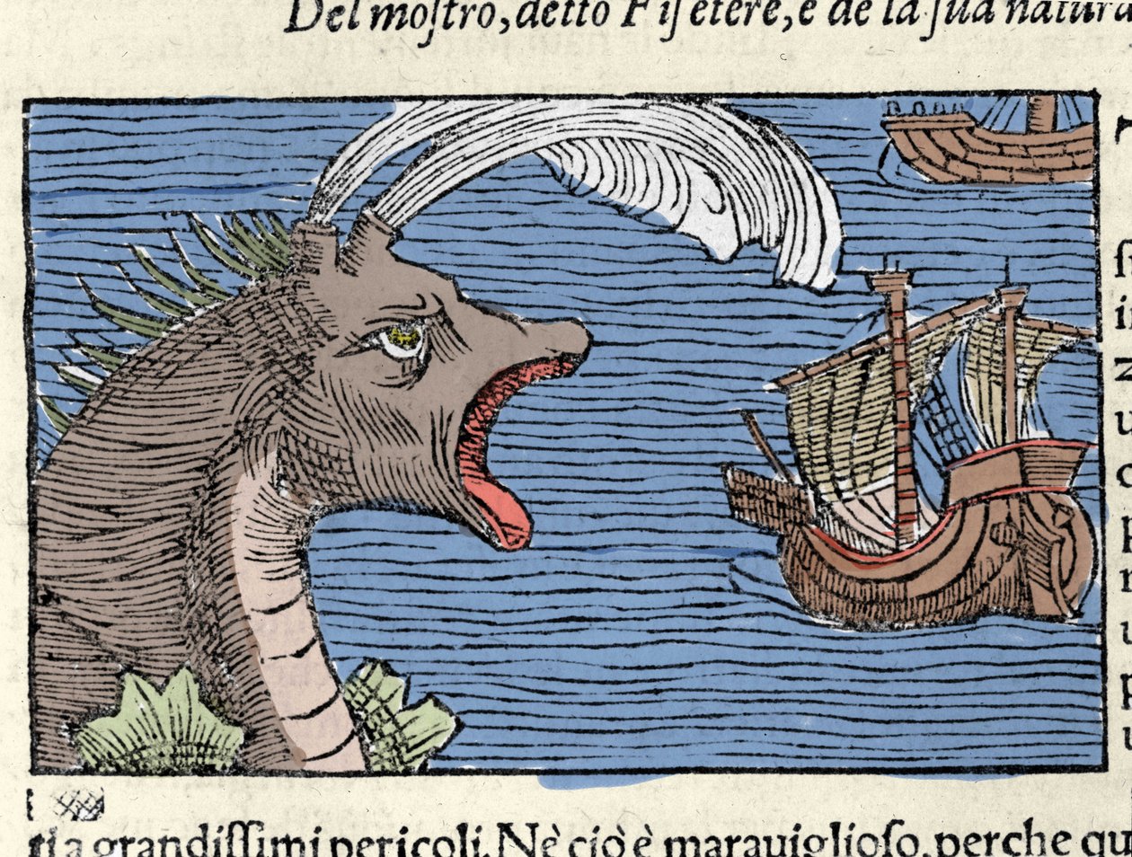 船を襲うマッコウクジラ(？)(physeter)。オラウス・マグヌス（1490〜1557）（スウェーデンの宗教家・地理学者）の版画、『Historia de Gentis Septentrionalibus』、ヴェネツィア 作： 無名の画家