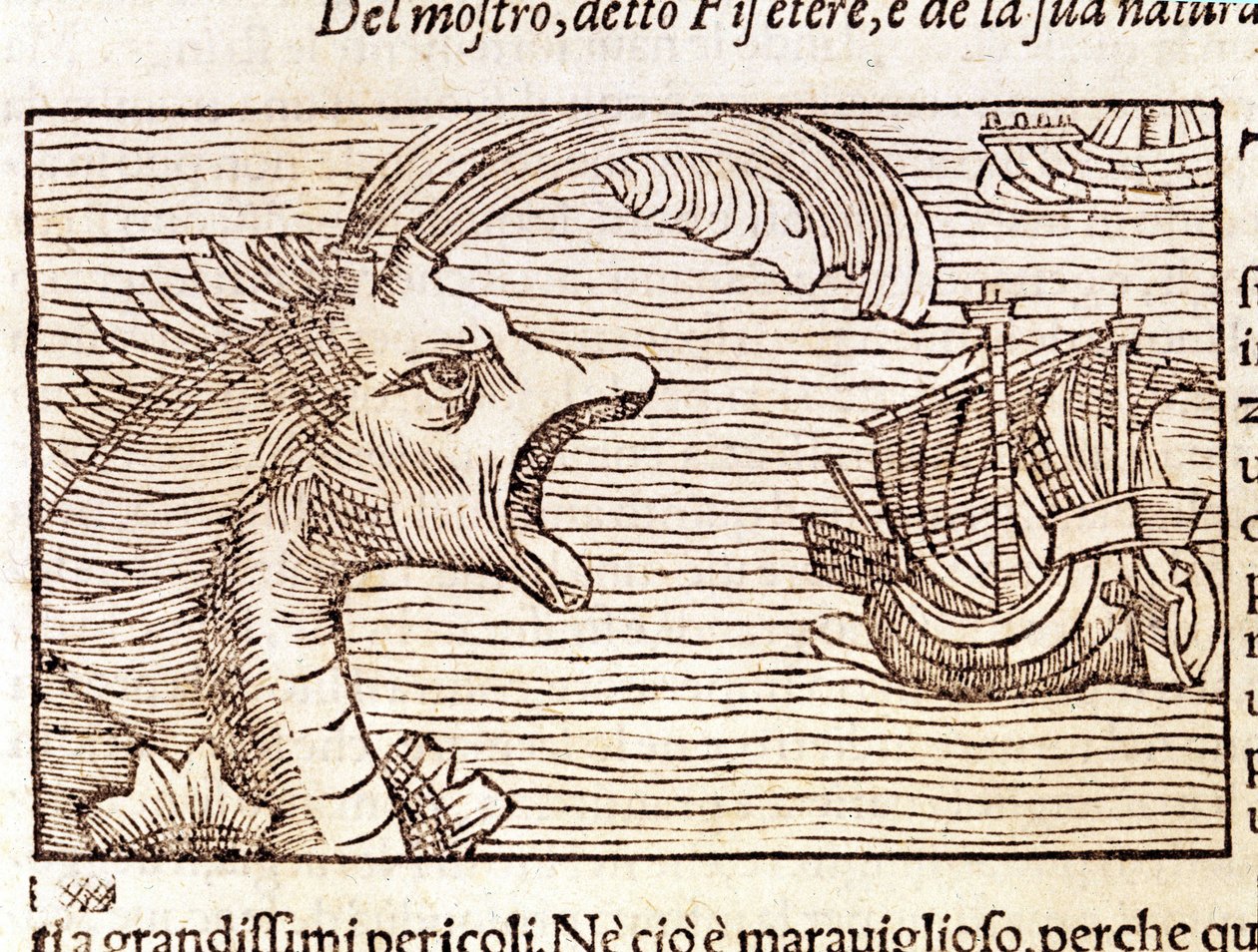 船を襲うマッコウクジラ(？)(physeter)。オラウス・マグヌス（1490〜1557）（スウェーデンの宗教家・地理学者）の版画、『Historia de Gentis Septentrionalibus』、ヴェネツィア 作： 無名の画家