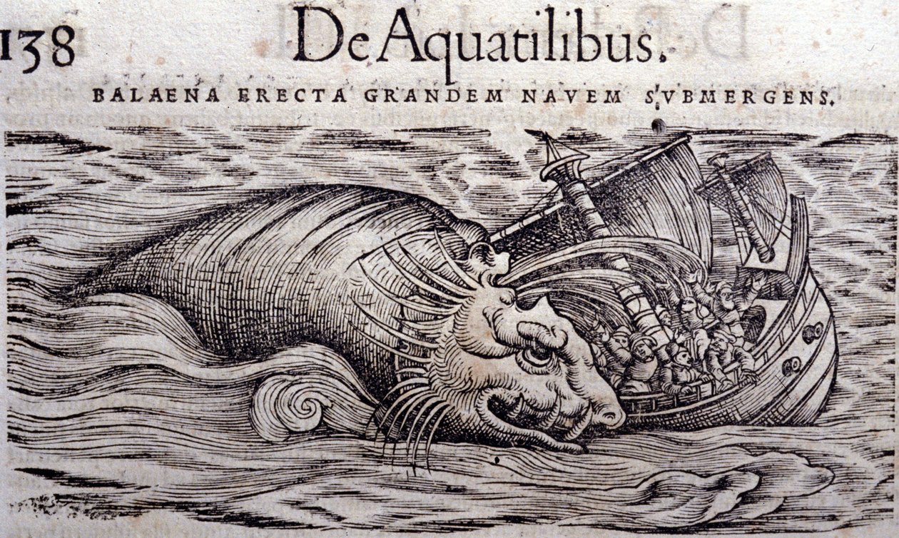 クジラが船体を破壊して沈没させる。コンラッド・ゲスナー(1516-1565)の『動物史』のエングレーヴィング、ティグリ 作： 無名の画家