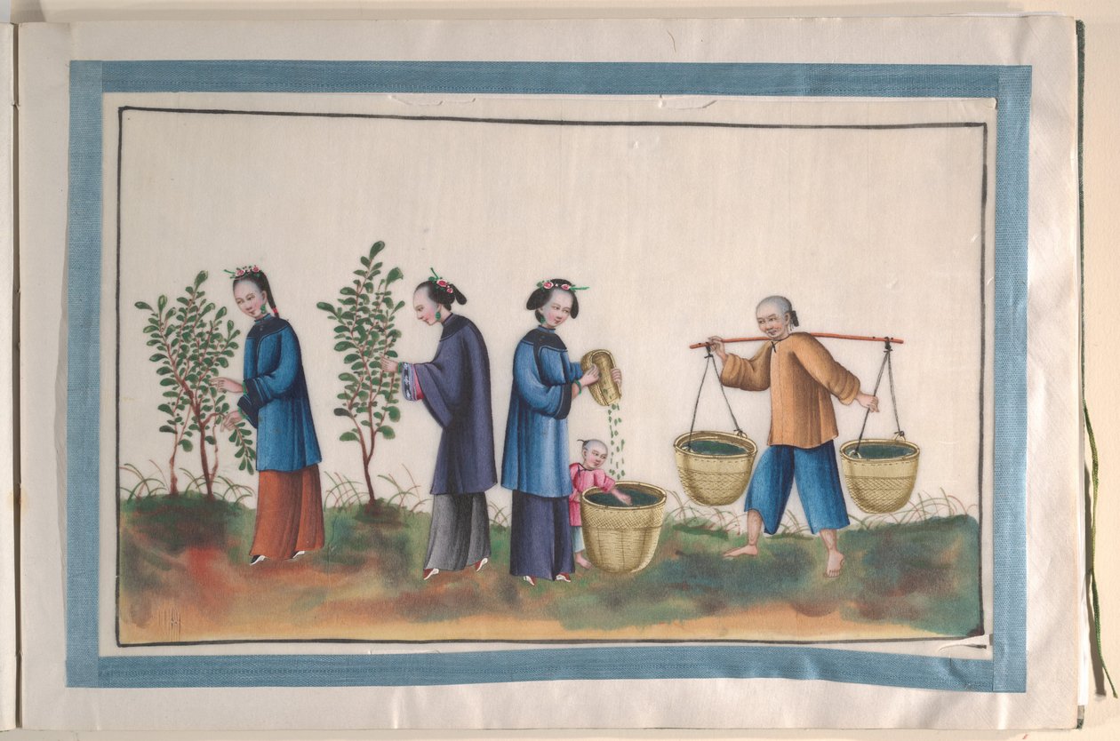 絹を作る人々を描いた12枚の絵が入ったアルバム 作： 無名の画家