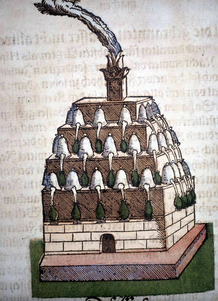 錬金術：Pietro Andrea Mattioli（Matthiole）（1500-1577）の書物からのアタノール4。フランクフルト 作： 無名の画家