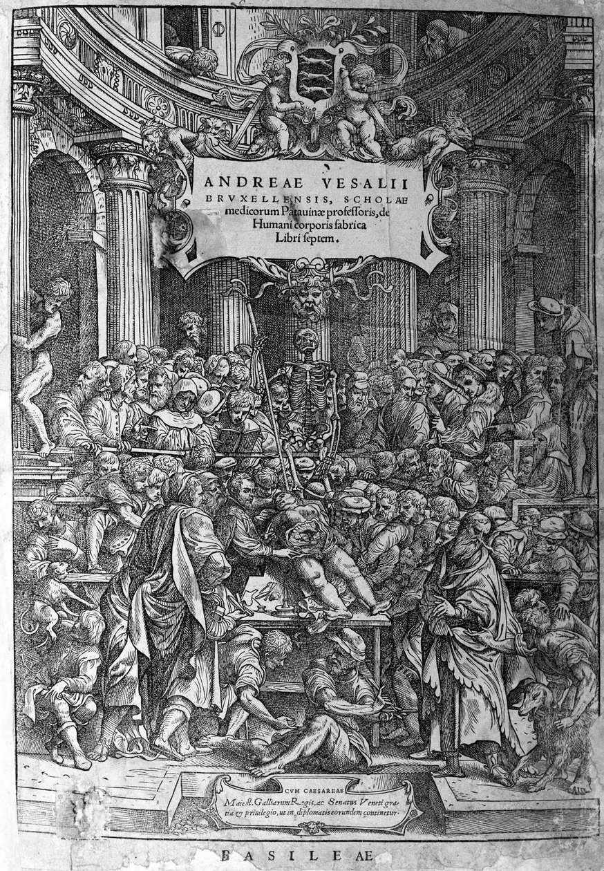 解剖学の部屋。オランダの解剖学者アンドレ・ヴェザリウス（1514-1564）の作品「Humani corporis fabrica libri septem 1543」の正面図（ラテン語ではAndrea Vesalius、オランダ語ではAndries Van Wesel）。 作： 無名の画家